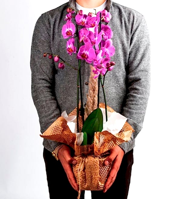 ÇİFT DAL İTHAL MOR ORKİDE