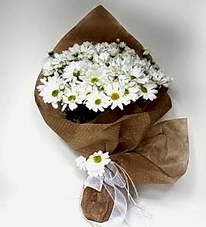 Beyaz Kırizantemler