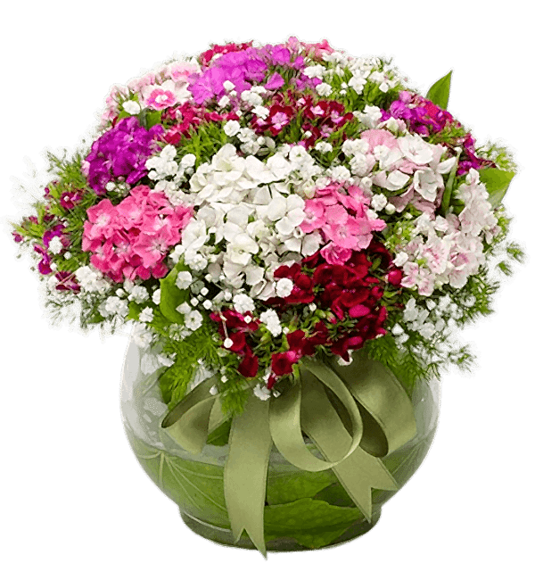 CAM FANUSTA İZMİR KARANFİLİ (HÜSNÜYUSUF ÇİÇEĞİ) ARANJMAN