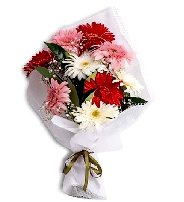 Renkli Gerbera Buketi