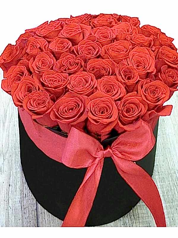 Kutuda Kırmızı Güller