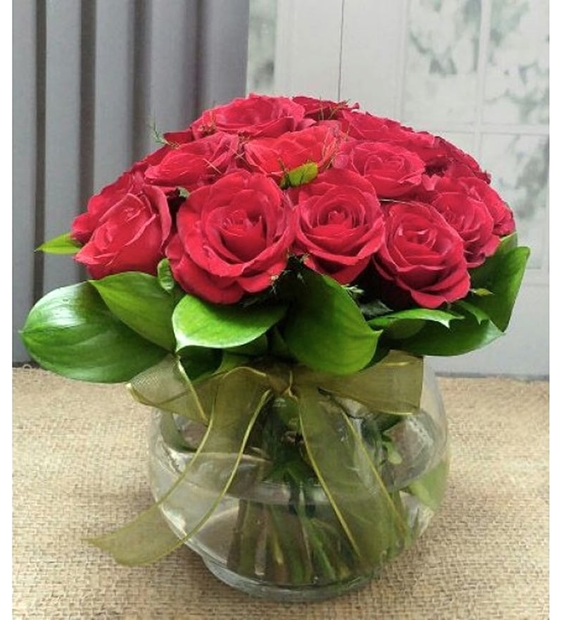 Fanusta Kırmızı Güller 