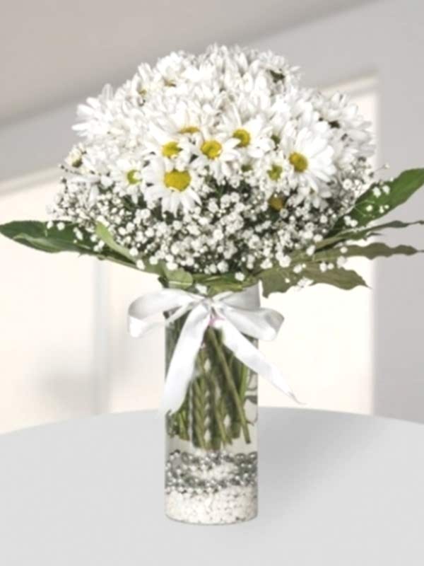 Vazoda Papatya Arajmanı 