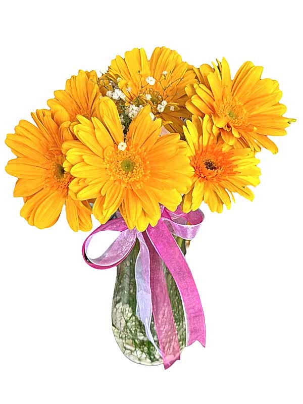 Sen Benim Güneşimsin 